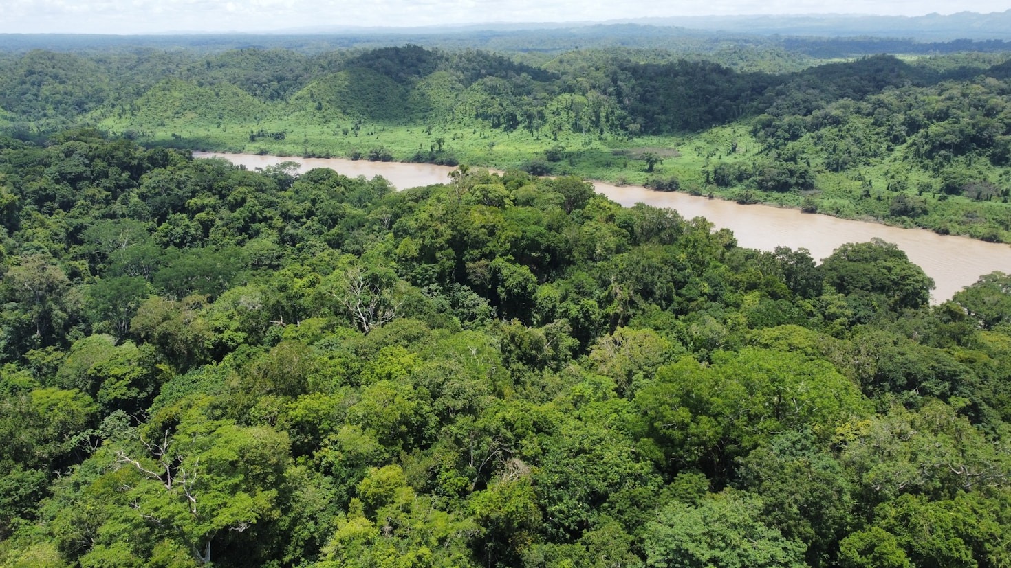 Importância da Gestão Educacional na Amazônia